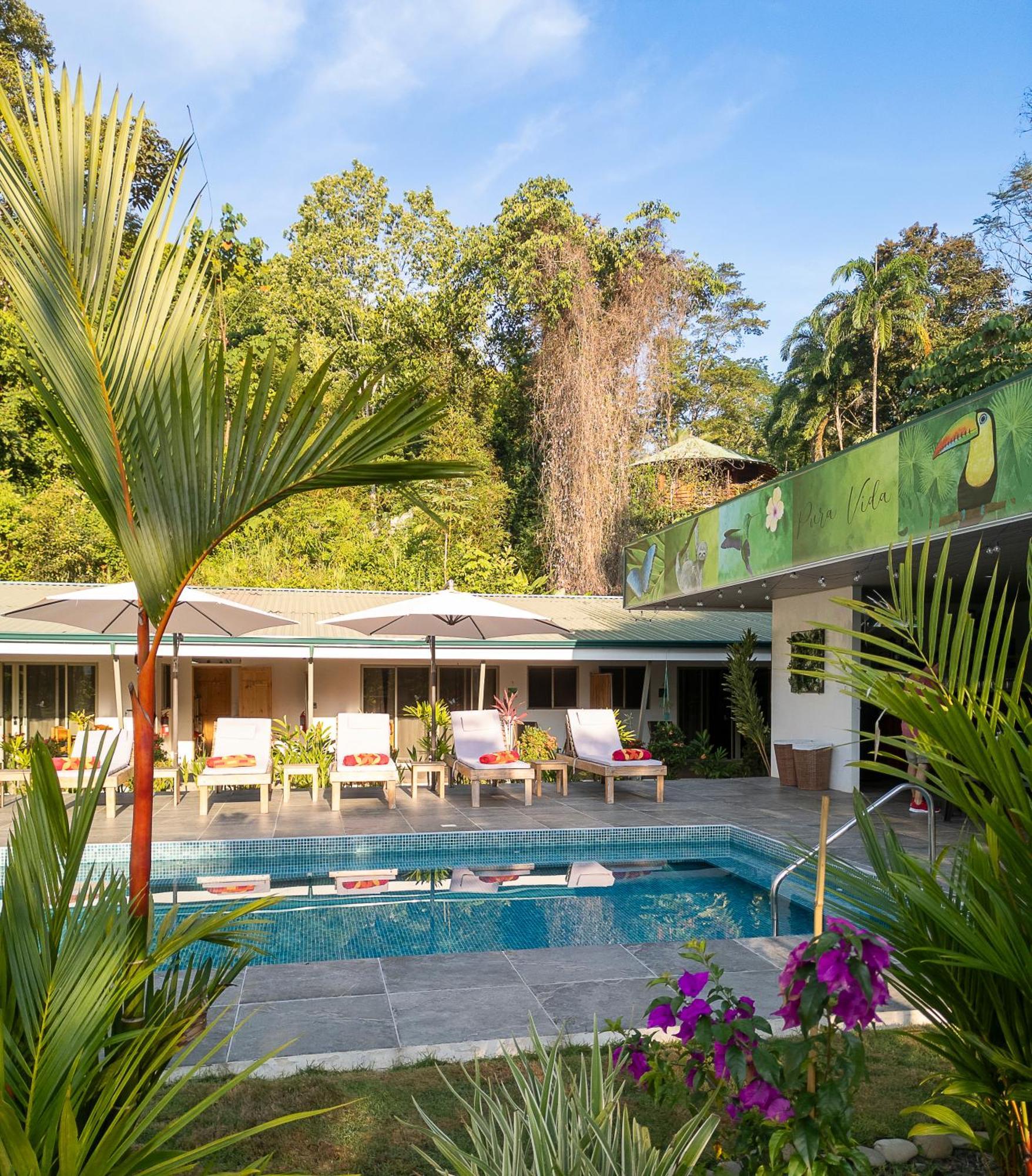 Paradiselodge Jungleguesthouse Platanillo Exterior foto